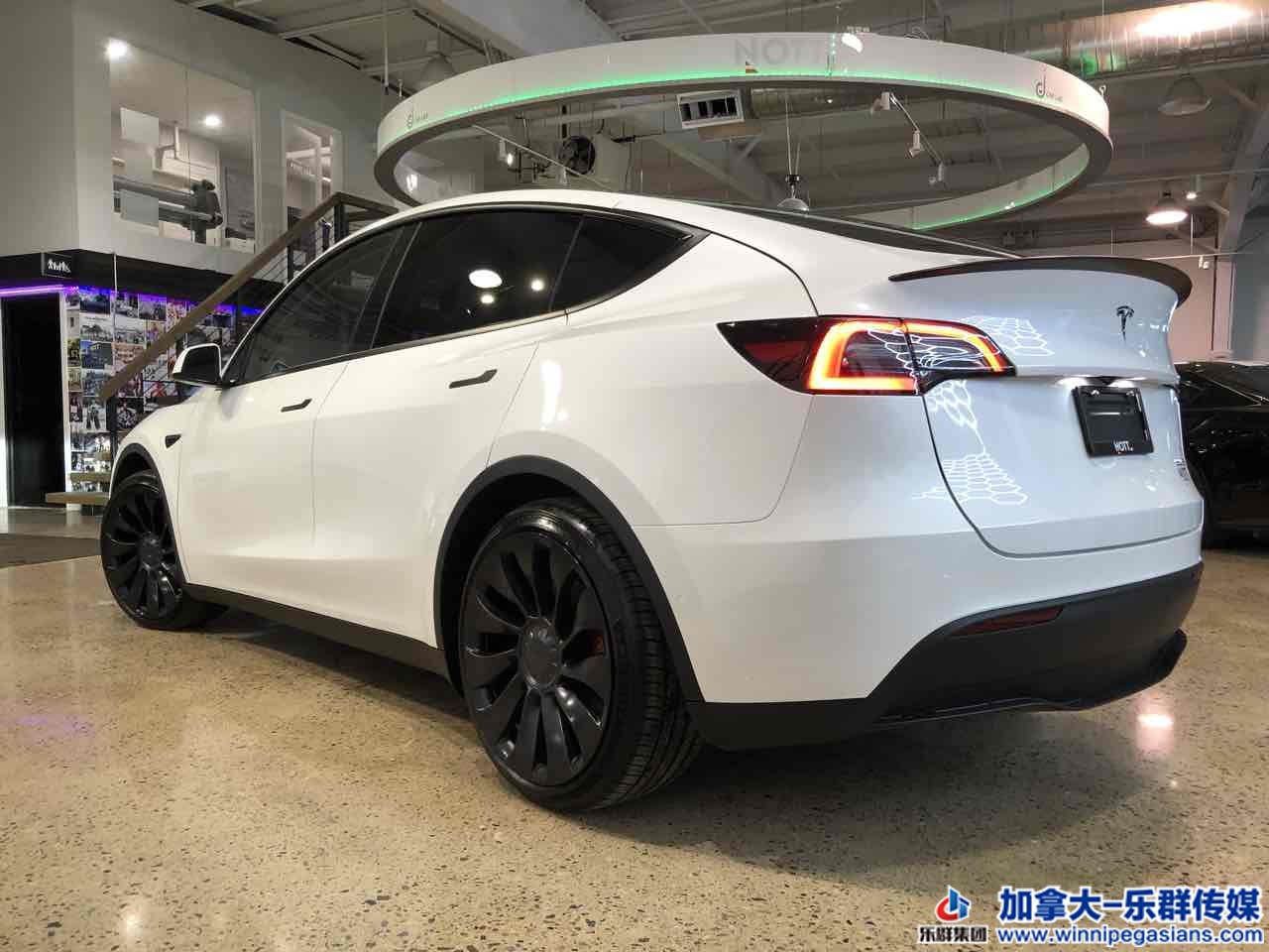 tesla_modely_7352_4.jpg