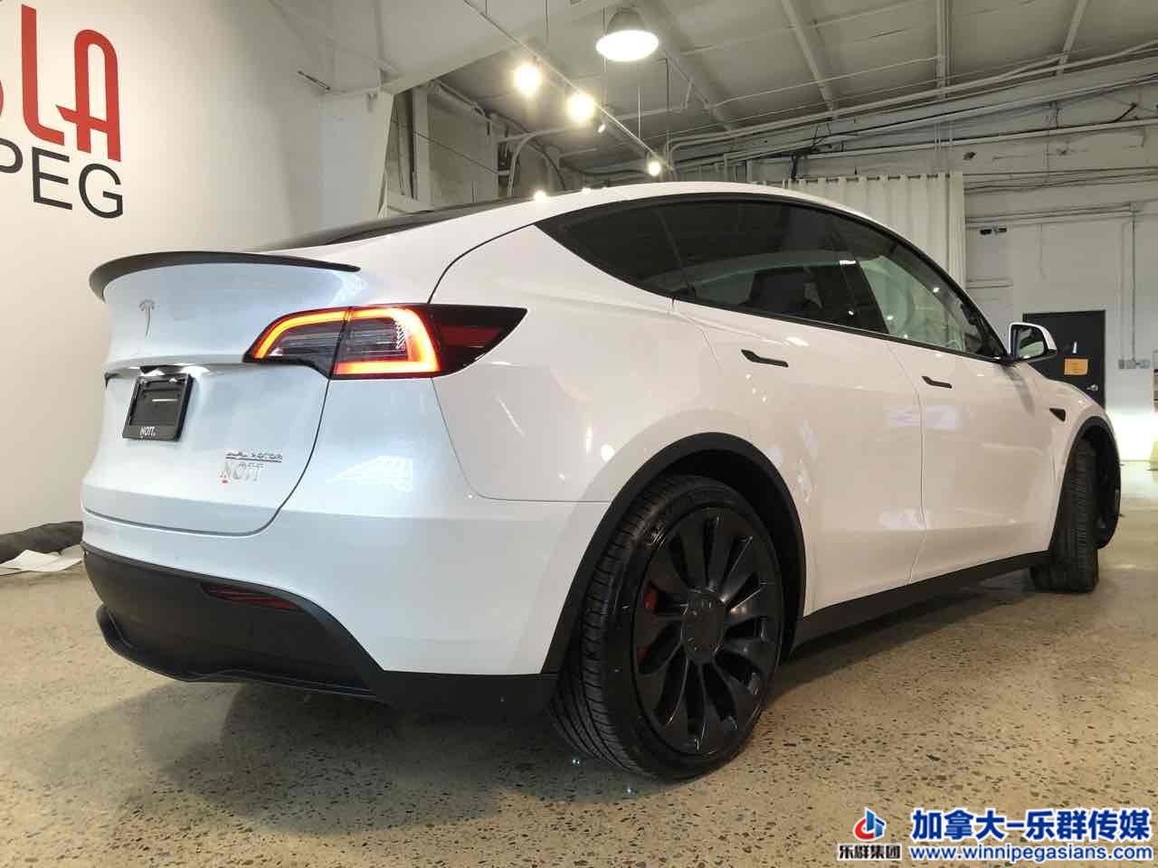 tesla_modely_7352_3.jpg