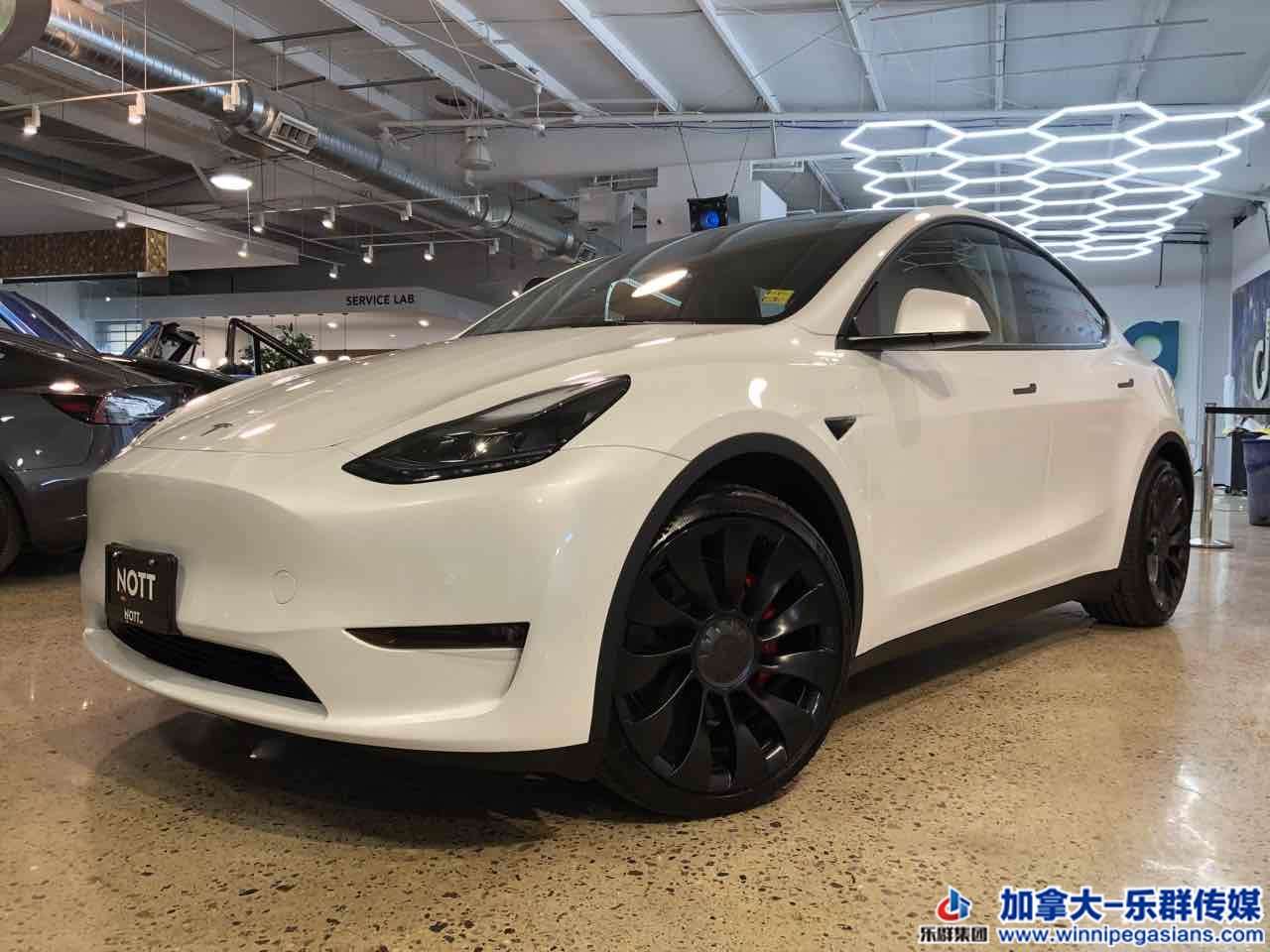 tesla_modely_7352_1.jpg