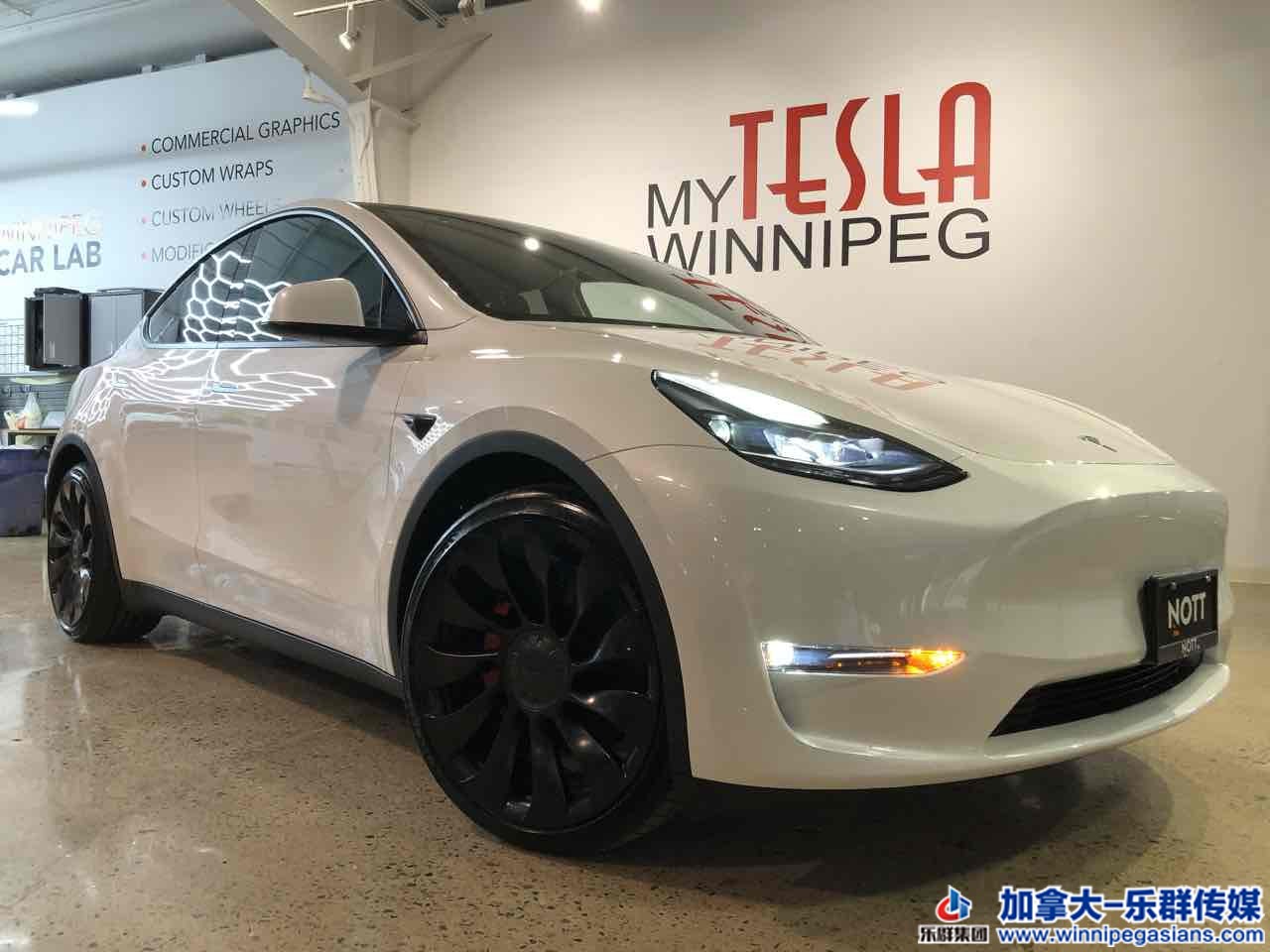 tesla_modely_7352_2.jpg