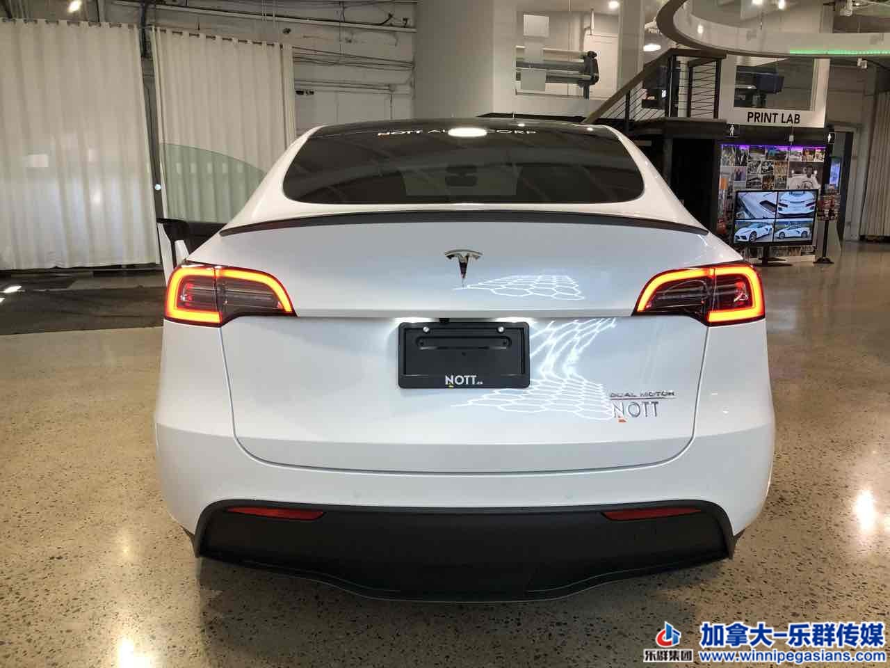 tesla_modely_7352_5.jpg