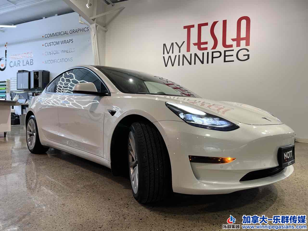 tesla_model3_7353_2.jpg