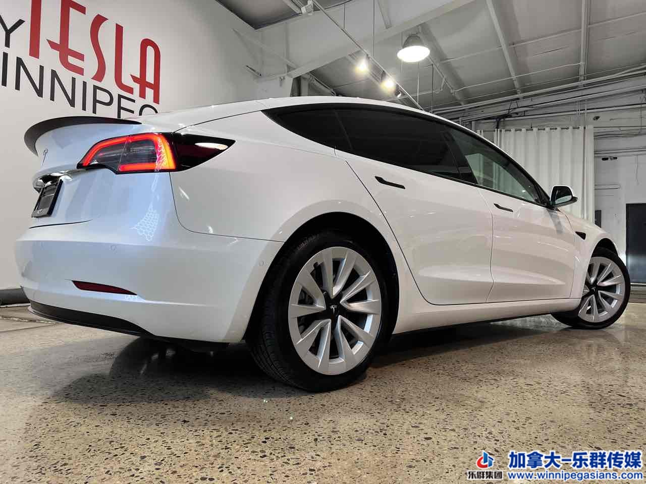 tesla_model3_7353_6.jpg