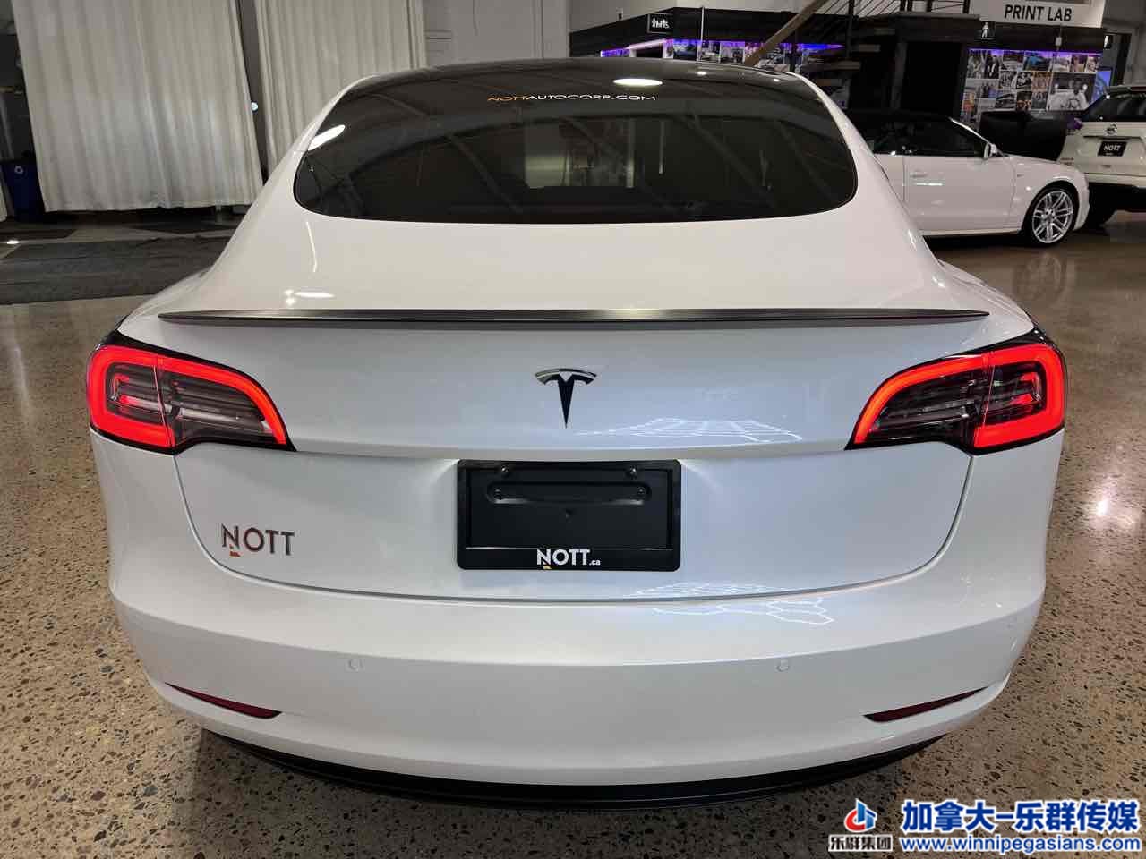 tesla_model3_7353_7.jpg