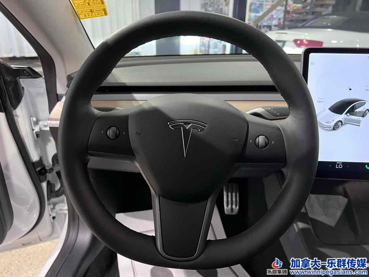 tesla_model3_7353_10.jpg