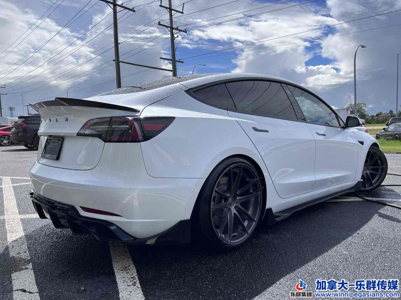 tesla_model3_7337_7.jpg