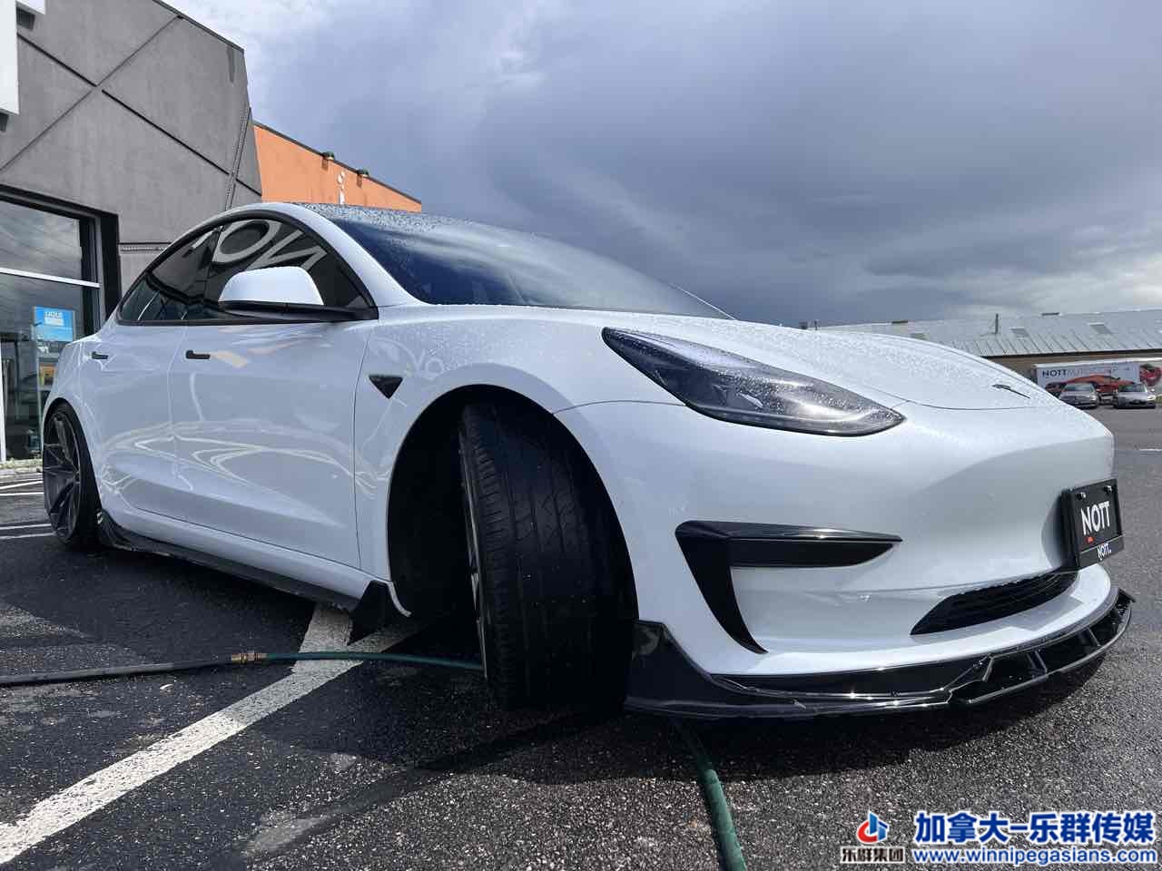 tesla_model3_7337_4.jpg