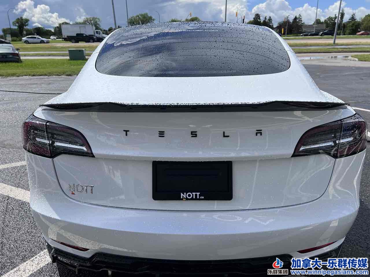 tesla_model3_7337_8.jpg