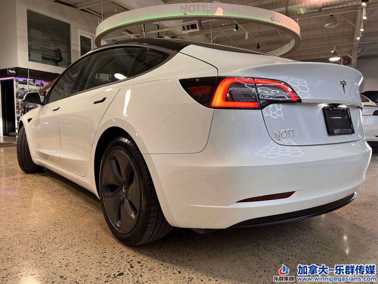 tesla_model3_7360_5.jpg