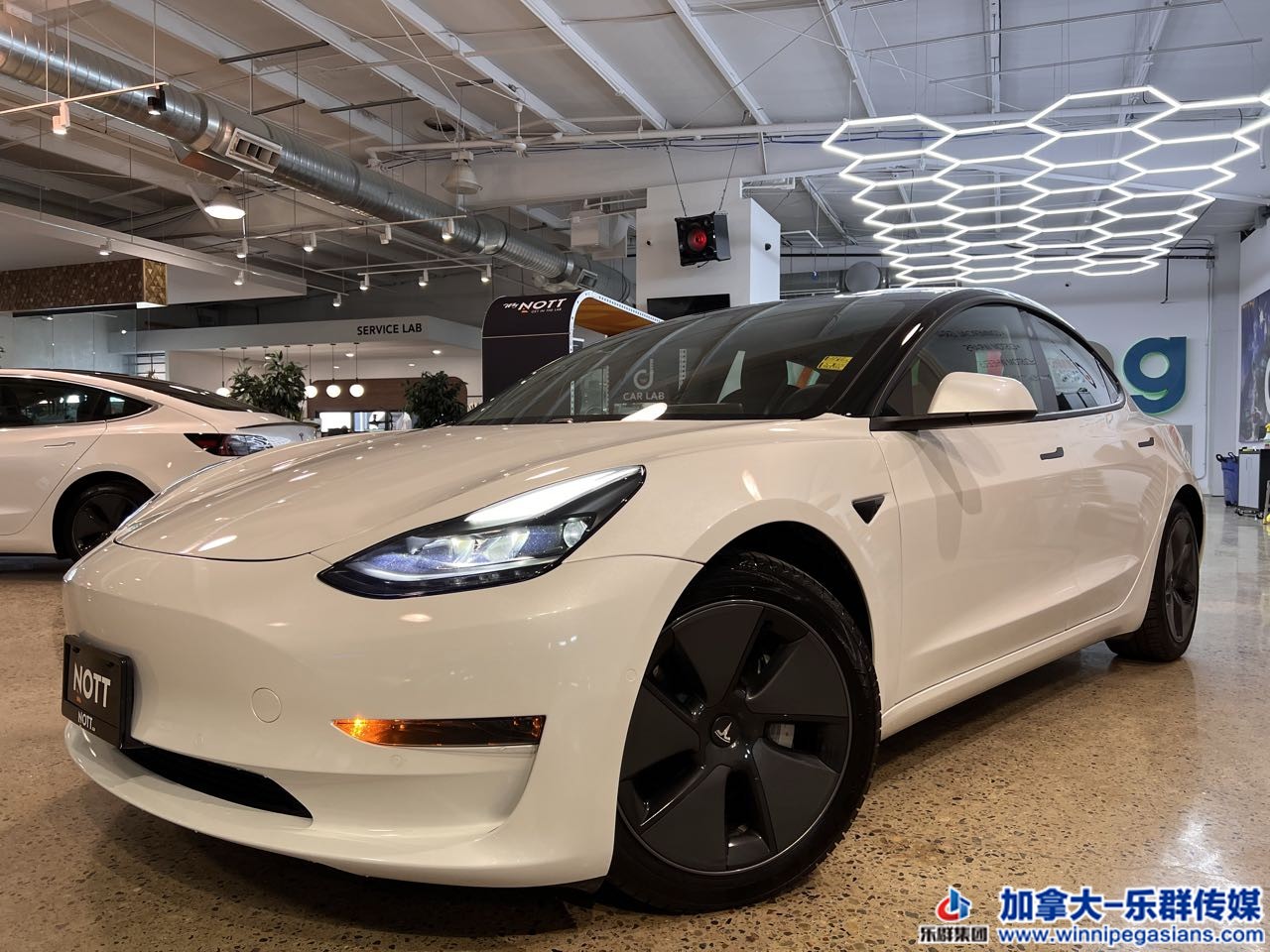 tesla_model3_7360_1.jpg