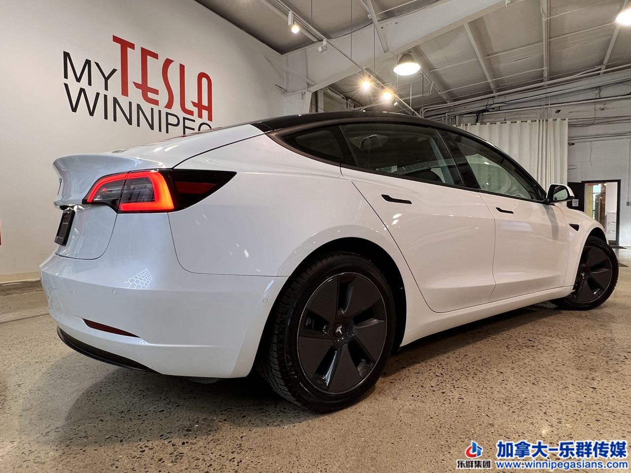 tesla_model3_7360_6.jpg