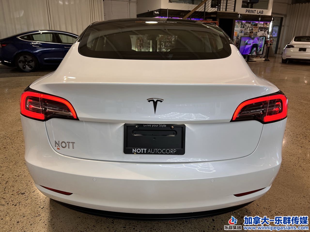 tesla_model3_7360_7.jpg