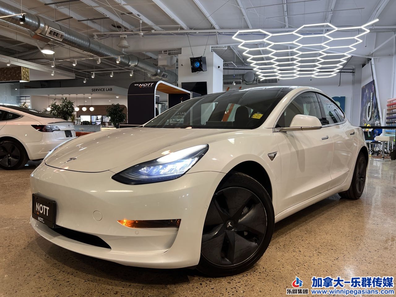 tesla_model3_7365_1.jpg