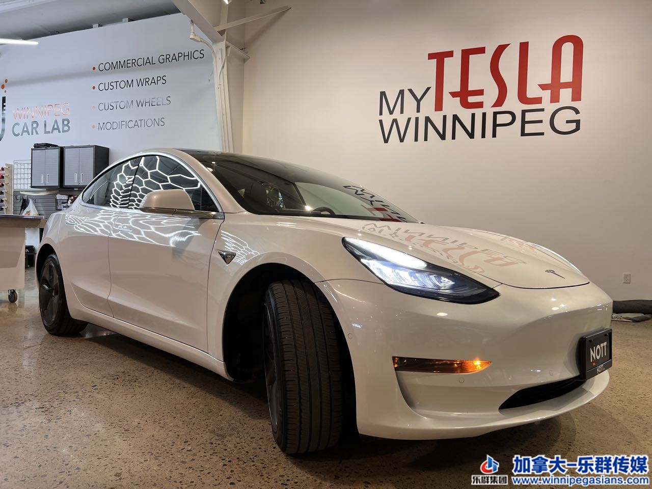 tesla_model3_7365_2.jpg