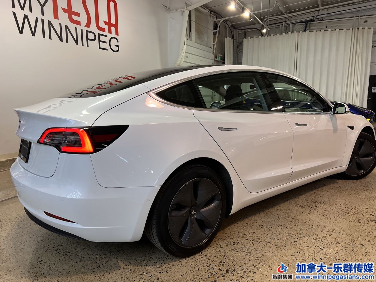 tesla_model3_7365_5.jpg