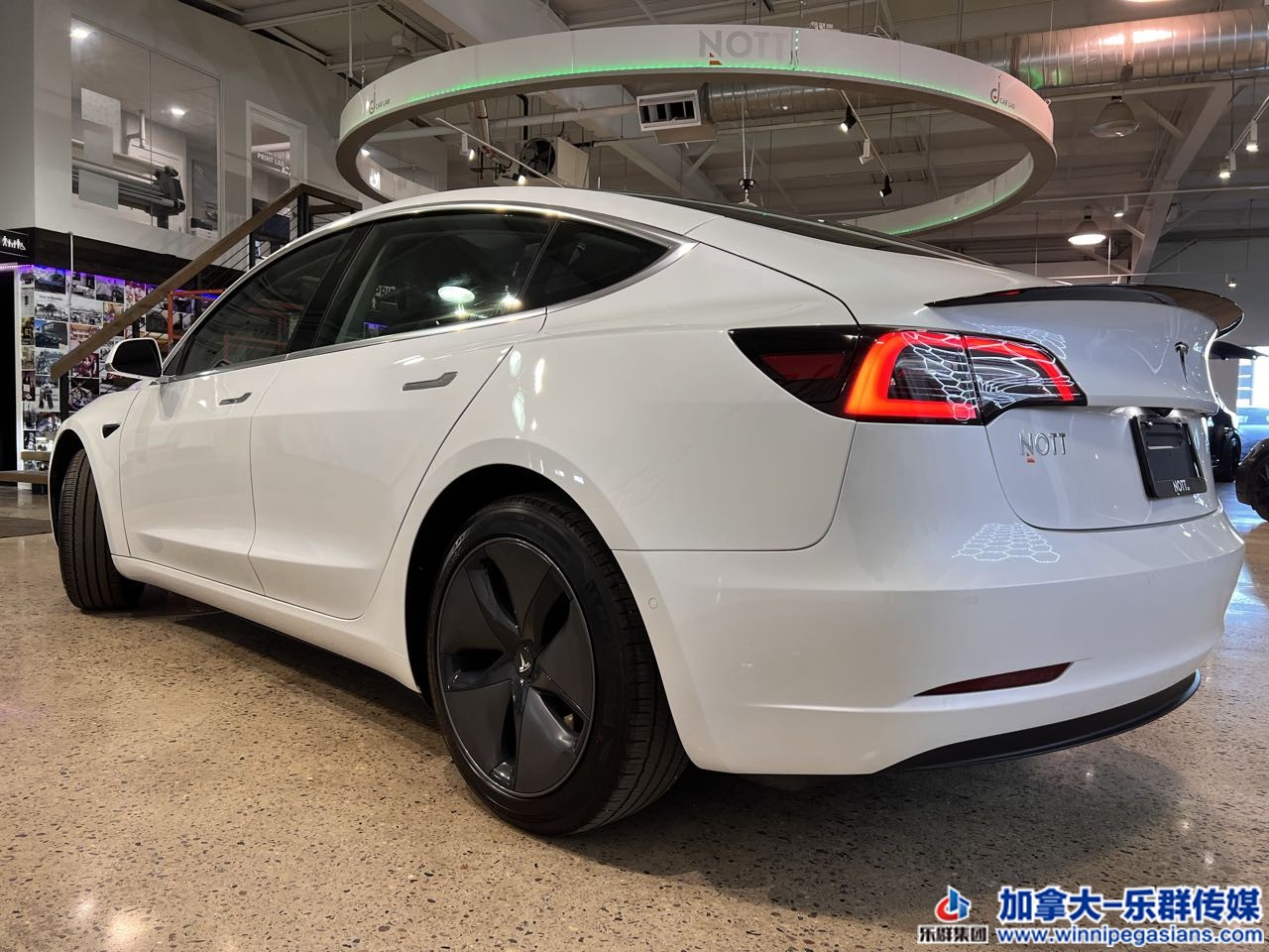 tesla_model3_7366_5.jpg