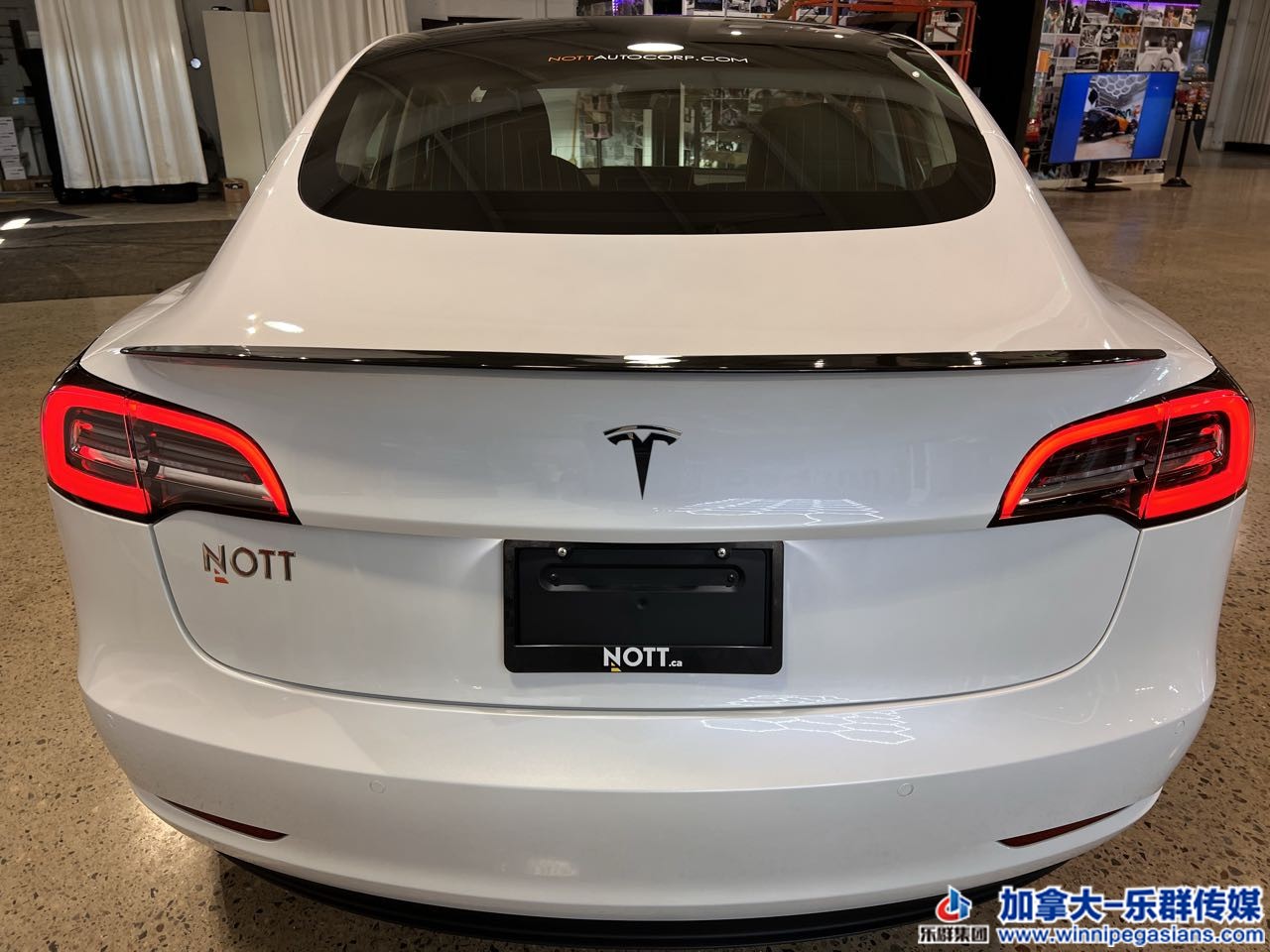 tesla_model3_7366_7.jpg