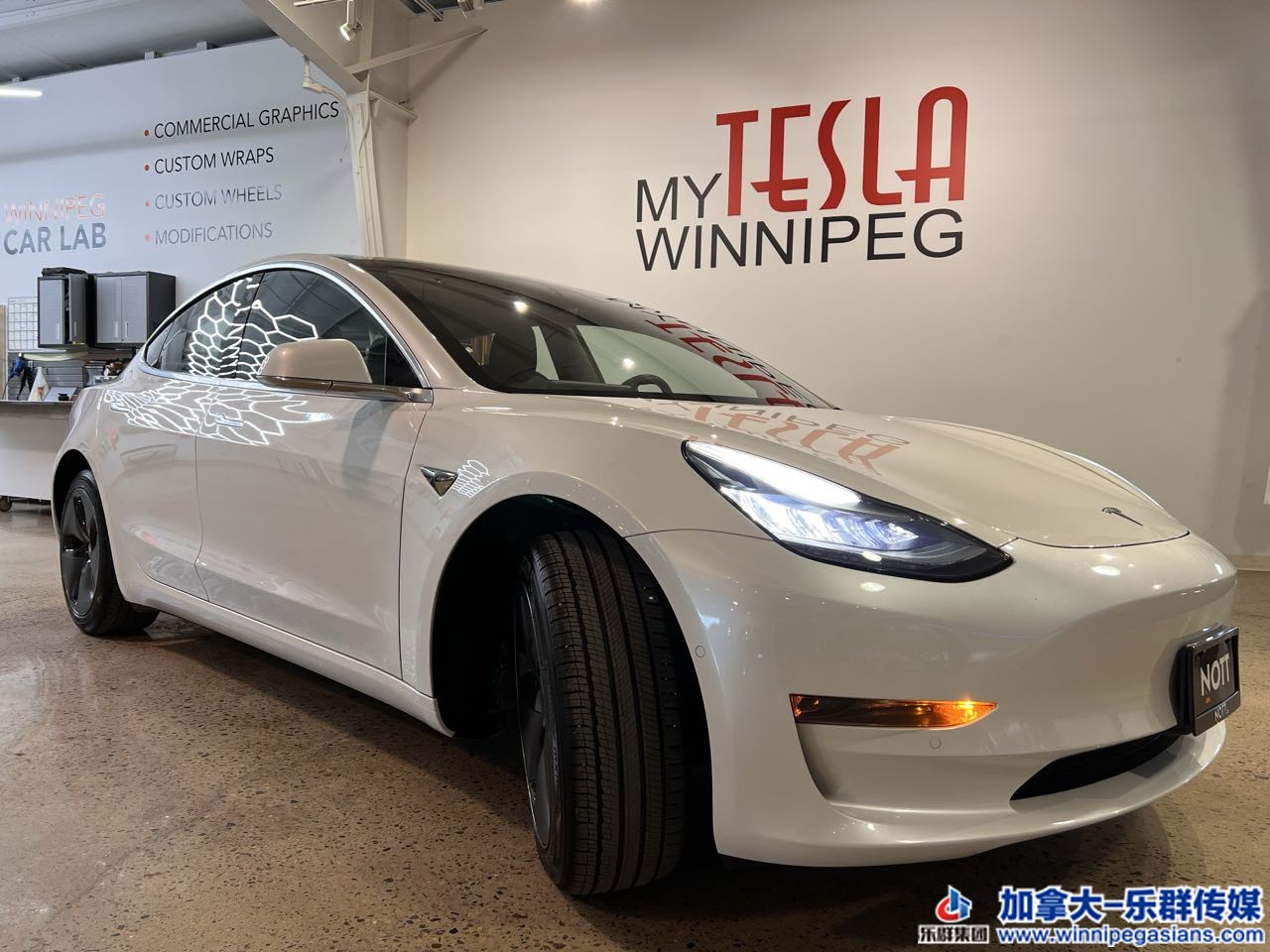 tesla_model3_7366_2.jpg