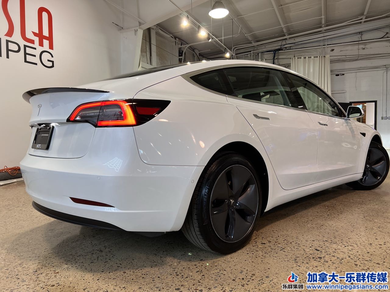 tesla_model3_7366_6.jpg