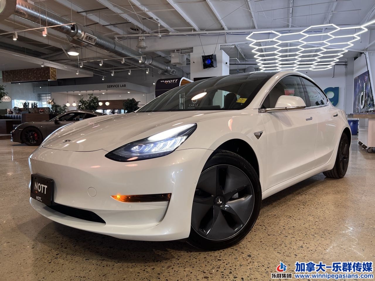 tesla_model3_7366_1.jpg