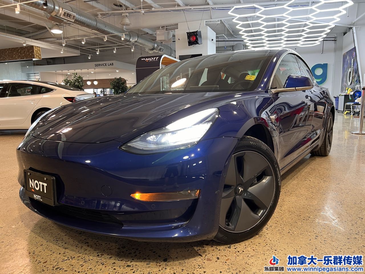 tesla_model3_7363_1.jpg