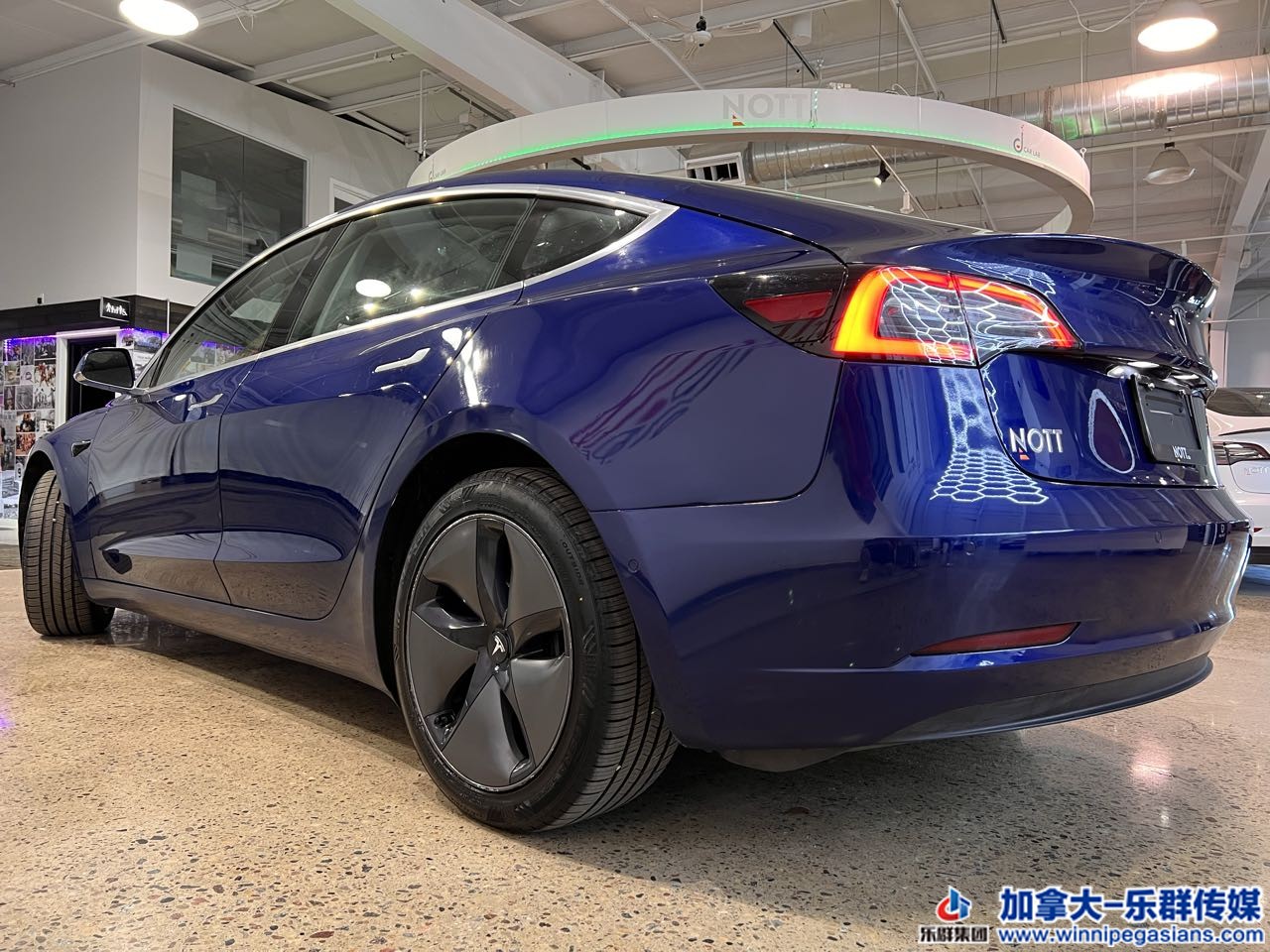 tesla_model3_7363_5.jpg