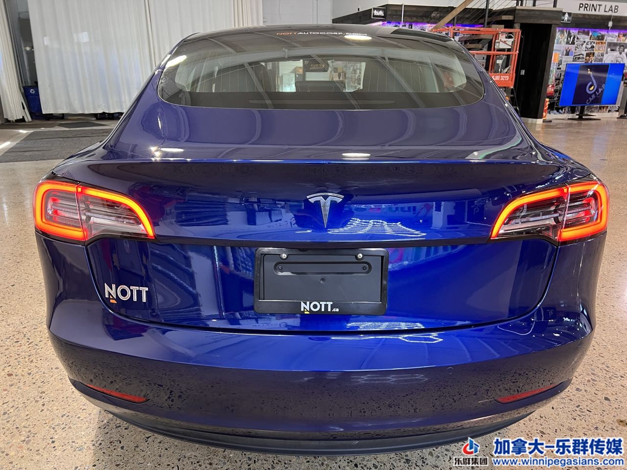 tesla_model3_7363_7.jpg