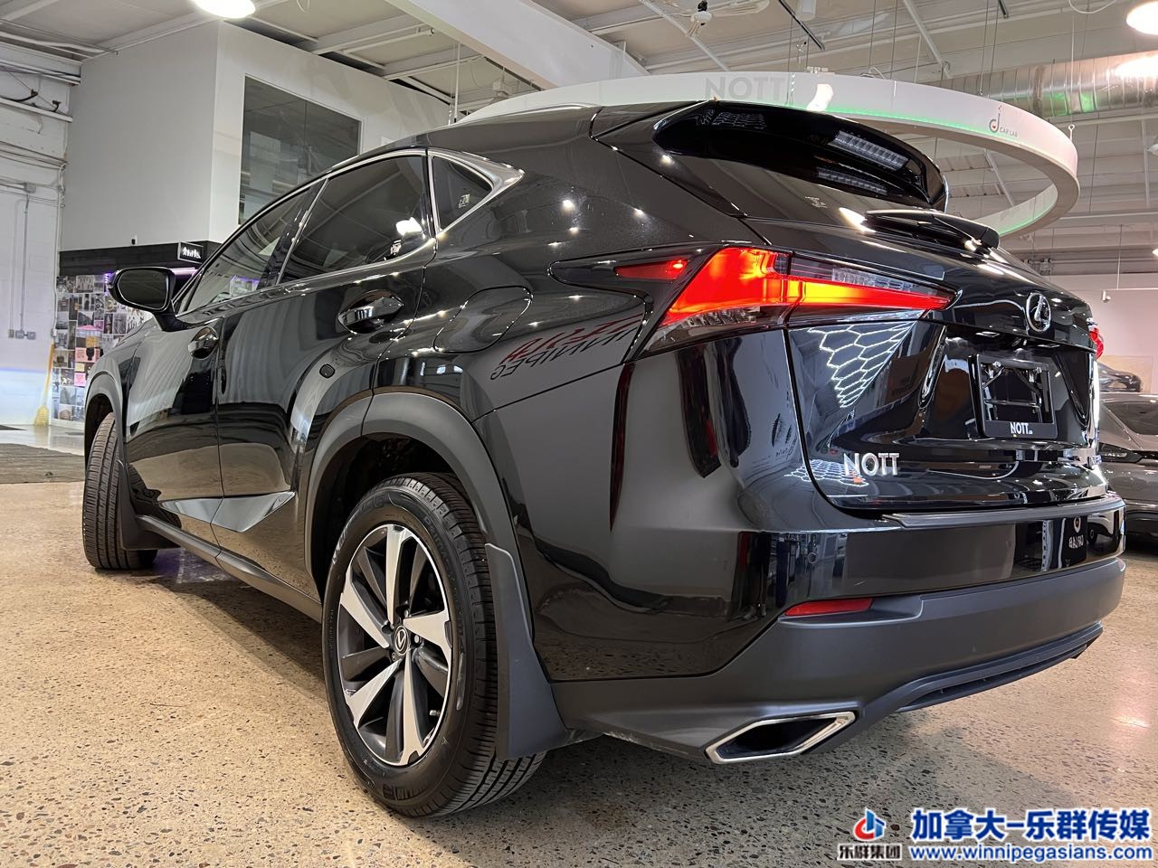 lexus_nx300_7364_5.jpg