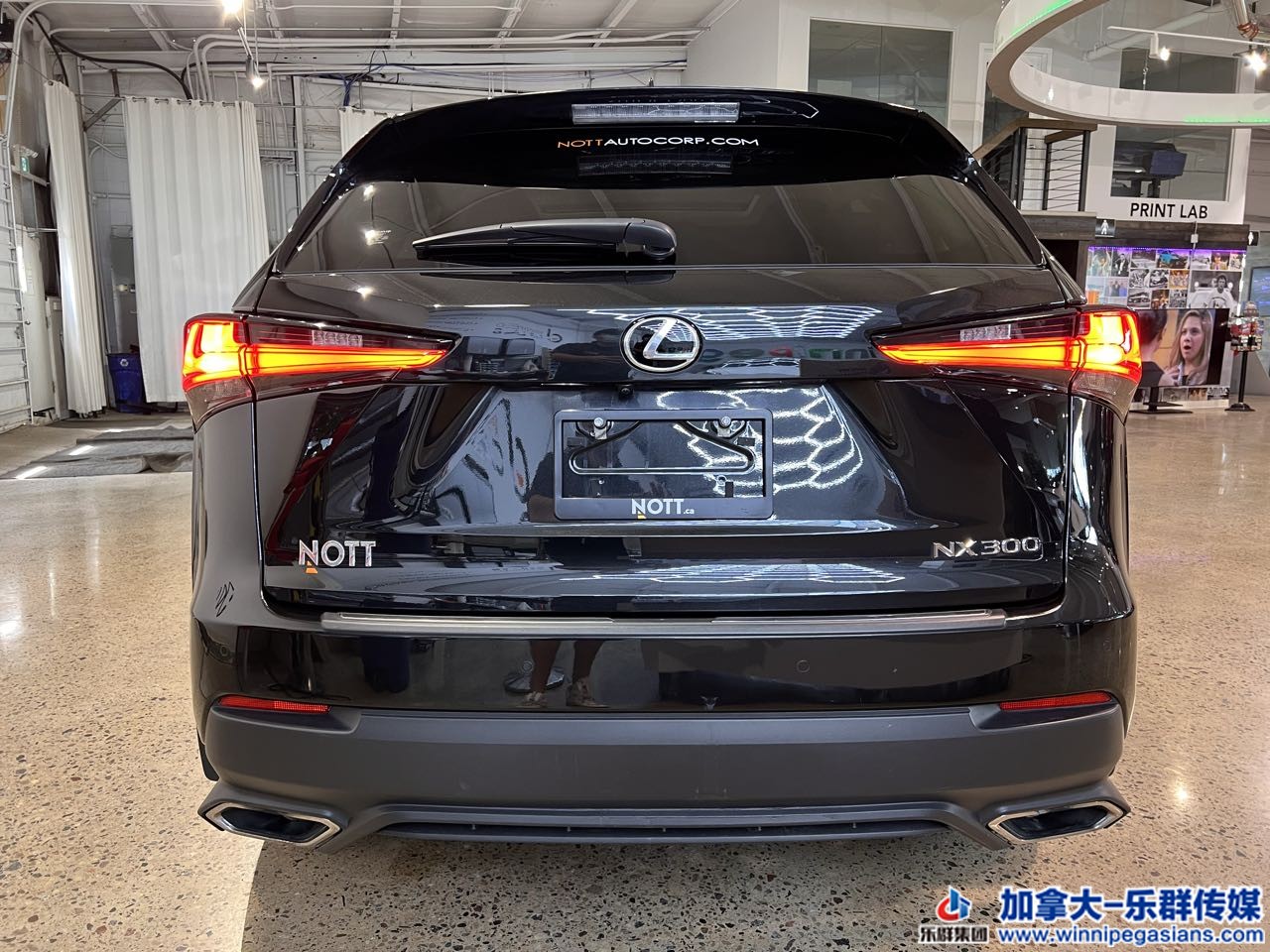 lexus_nx300_7364_7.jpg