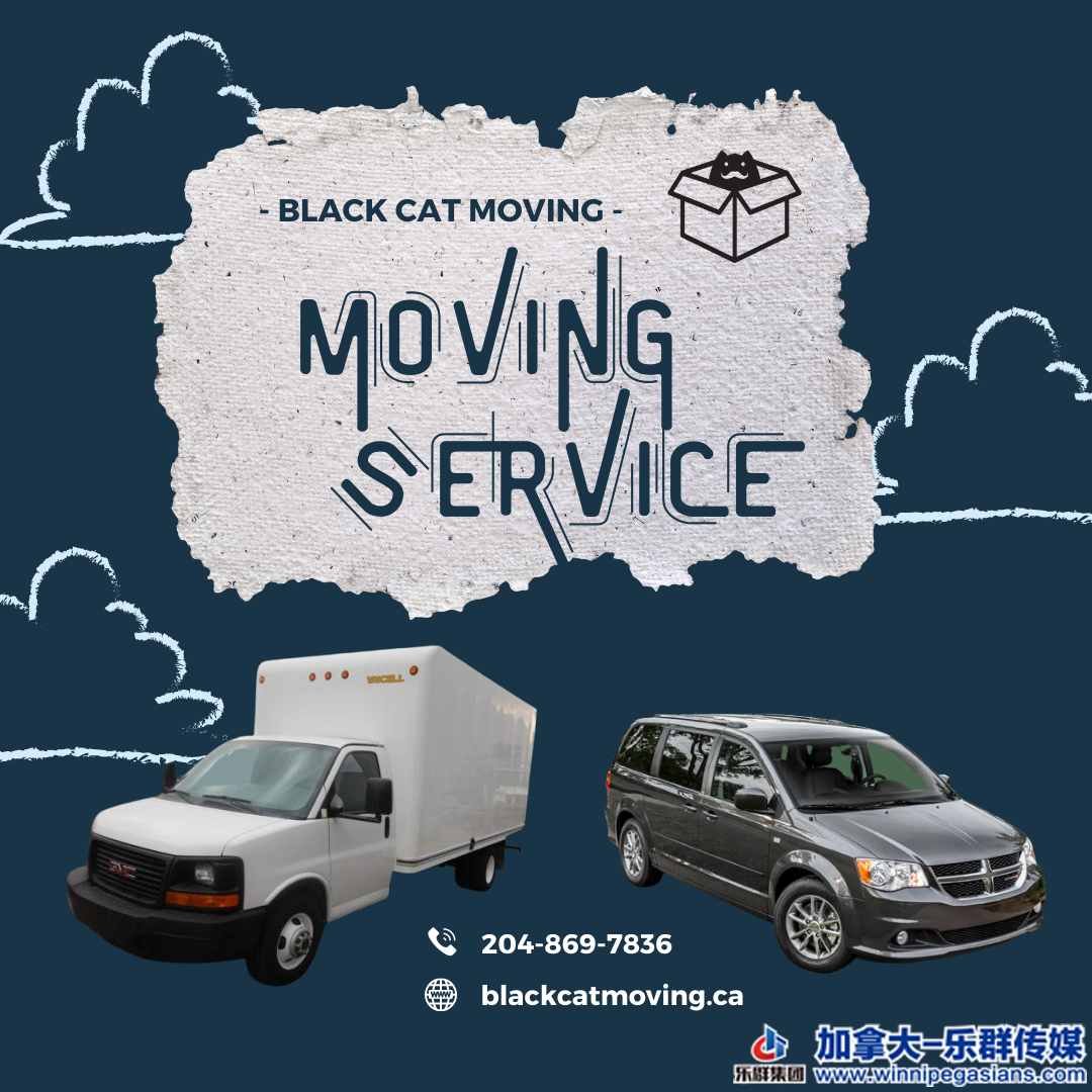 - BLACK CAT MOVING -.png