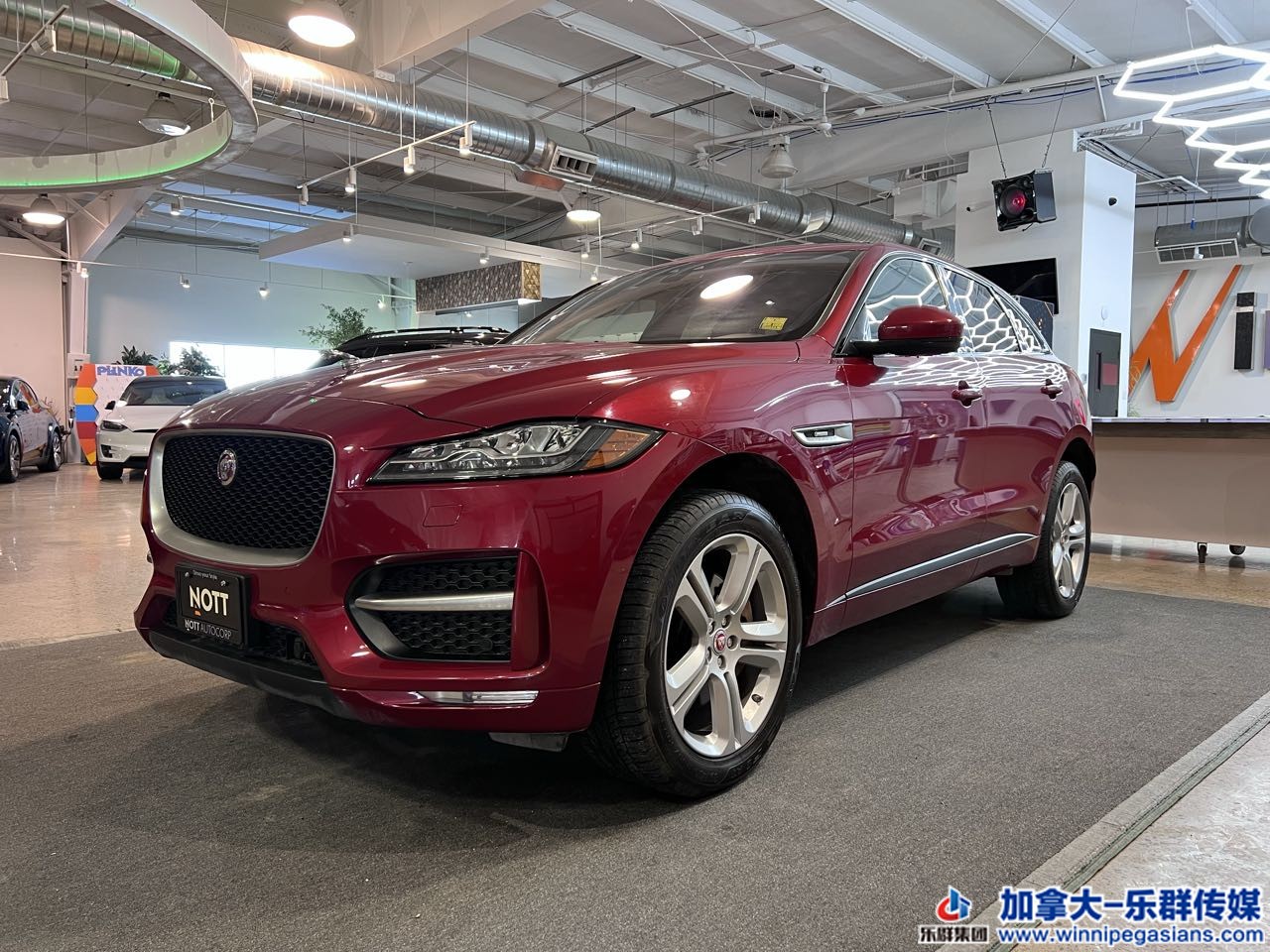 jaguar_f-pace_6878_1.jpg