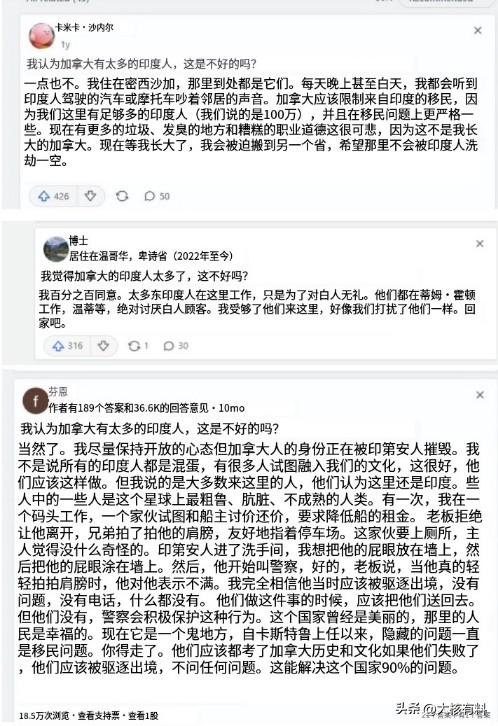 印度人正在“占领”加拿大？引发严重不满，政府为何毫无不作为？-5.jpg