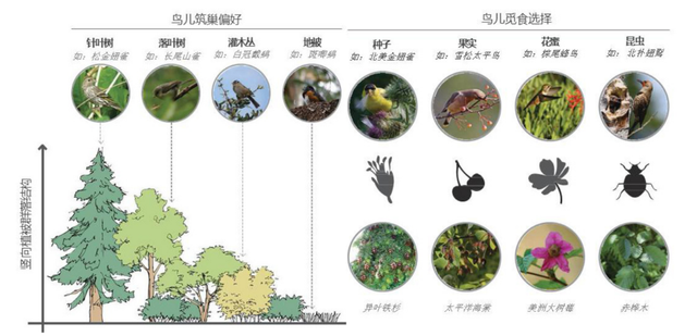 建设人与自然共栖共生的鸟类友好城市：渥太华鸟类保护培育战略-8.jpg