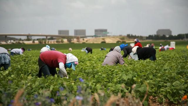 每月拒绝3000+外国人入境，加拿大突然收紧移民政策-5.jpg