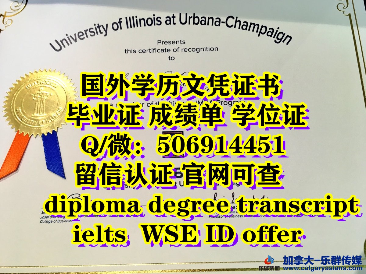 diploma  (84).jpg