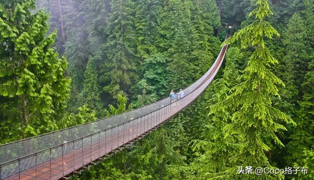 我的旅居生活之温哥华印象-13.jpg