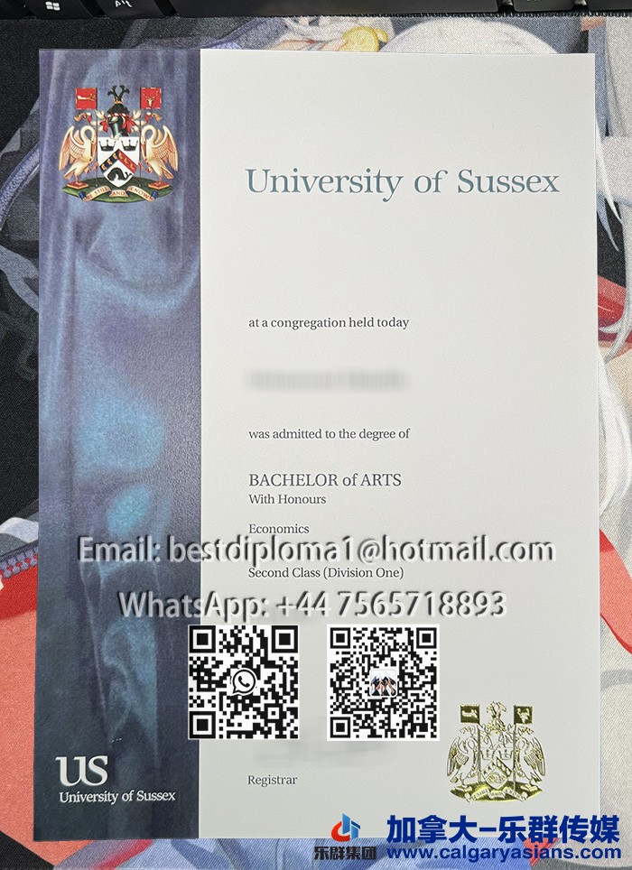 University of Sussex Degree