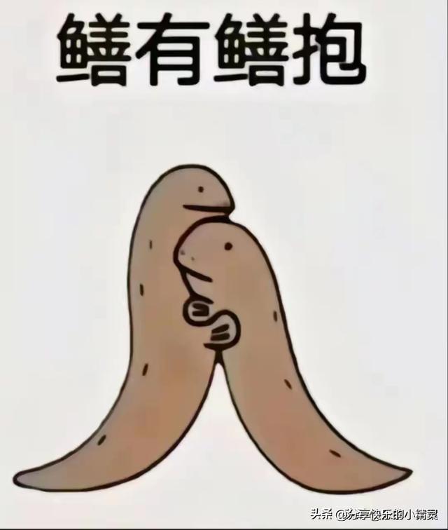 幽默搞笑段子，个个爆笑不断，专治不开心-2.jpg