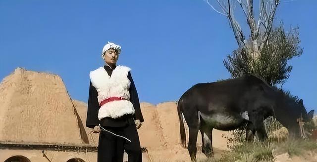 星光大道举办20年，明星现状各不同，离婚被扒黑历史还有进监狱的-15.jpg