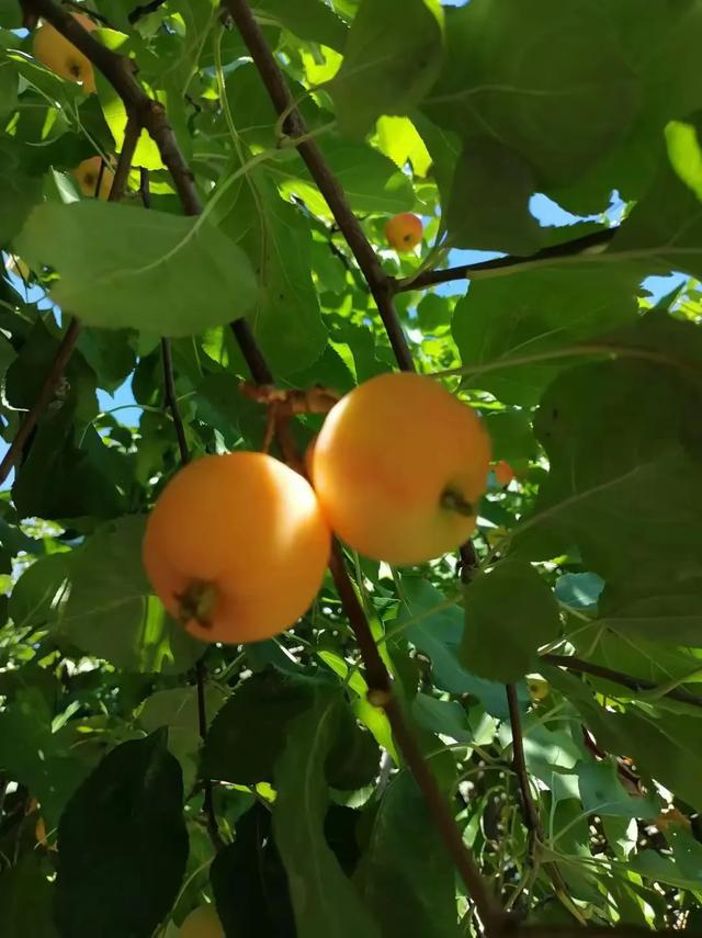 在头条的世界里，你是否选择了隐身？-3.jpg