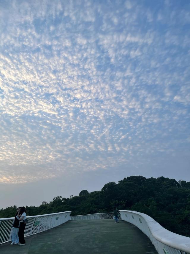为什么要写头条？-1.jpg