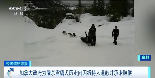 终于！加拿大政府道歉！-2.jpg