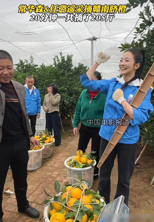 8位明星同框，聂远和刘敏涛当队长，带着成员一起体验摘橙子-1.jpg