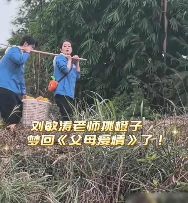 8位明星同框，聂远和刘敏涛当队长，带着成员一起体验摘橙子-6.jpg