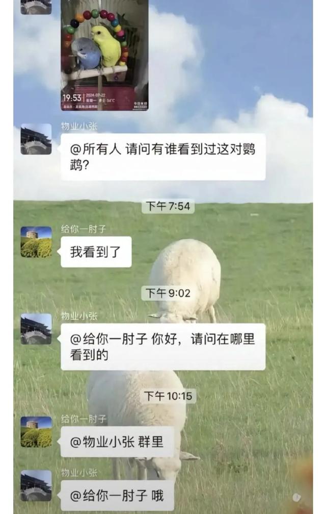 这么搞笑的聊天记录，你又是在看到第几张时忍不住笑呢？-6.jpg