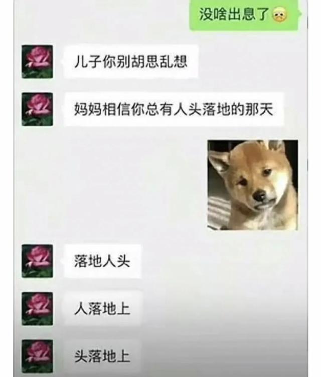这么搞笑的聊天记录，你又是在看到第几张时忍不住笑呢？-17.jpg