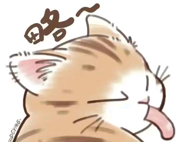 搞笑图片15张，让你开怀大笑，你被第几张逗笑了?-3.jpg