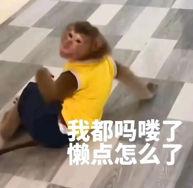 搞笑图片15张，让你开怀大笑，你被第几张逗笑了?-4.jpg