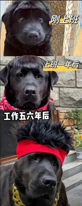 20张能把人笑飞的搞笑图片，看完以后感觉整个人都笑不活了-6.jpg
