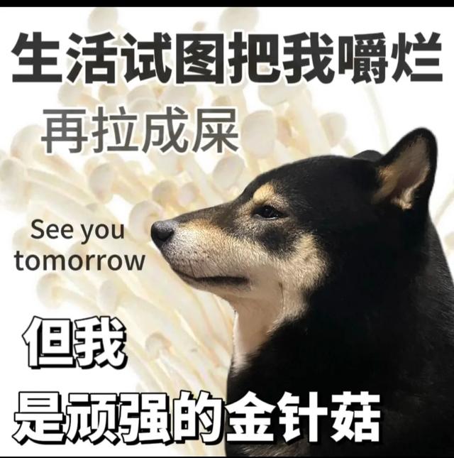 开心一刻 | 10个顶级笑话段子：个个笑点足，笑趴全场！-11.jpg
